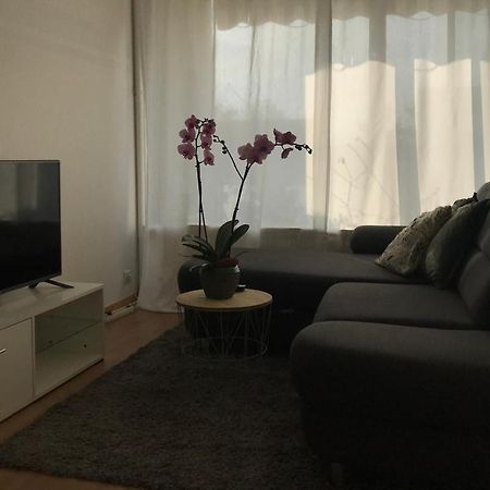 Bel Appartement Near Bale Mulhouse Airport Saint-Louis  Εξωτερικό φωτογραφία