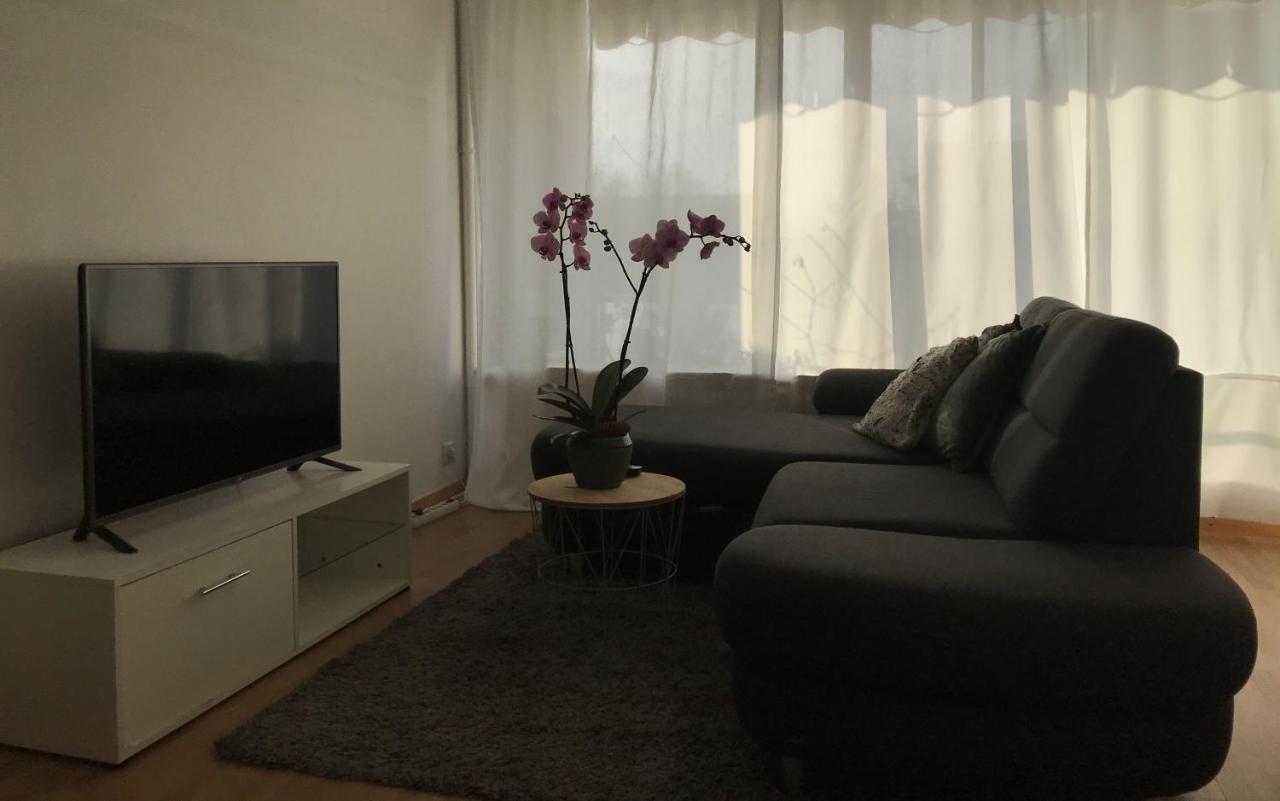 Bel Appartement Near Bale Mulhouse Airport Saint-Louis  Εξωτερικό φωτογραφία
