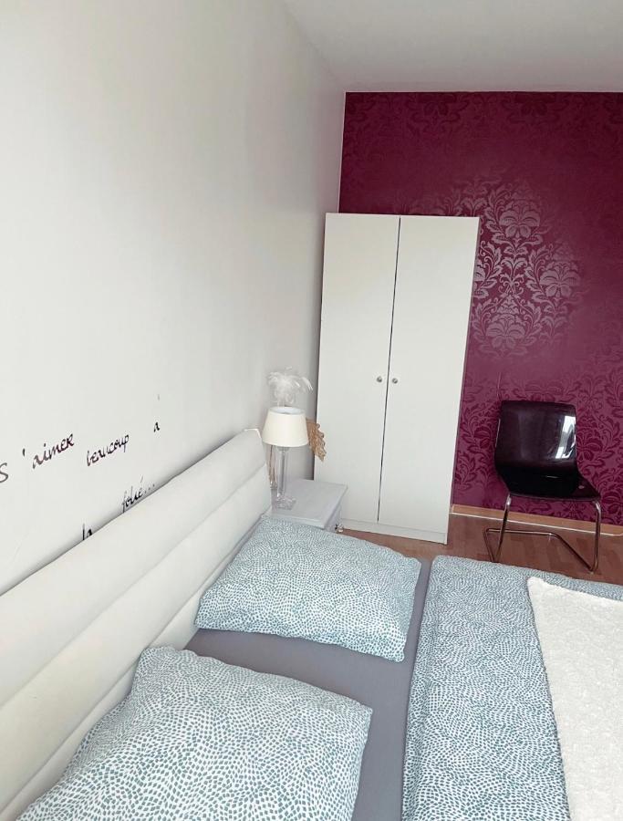 Bel Appartement Near Bale Mulhouse Airport Saint-Louis  Εξωτερικό φωτογραφία