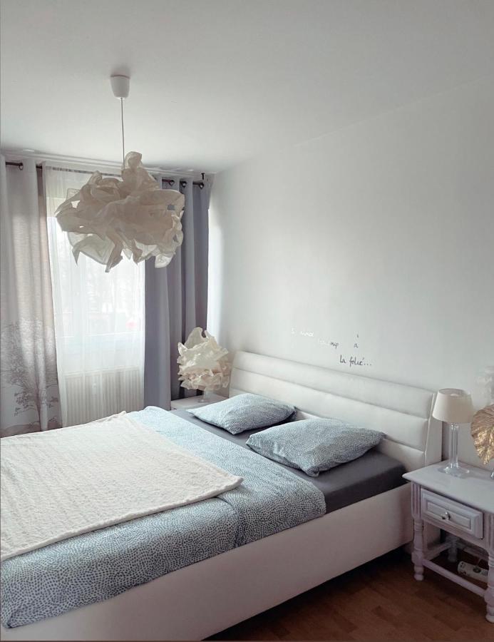 Bel Appartement Near Bale Mulhouse Airport Saint-Louis  Εξωτερικό φωτογραφία