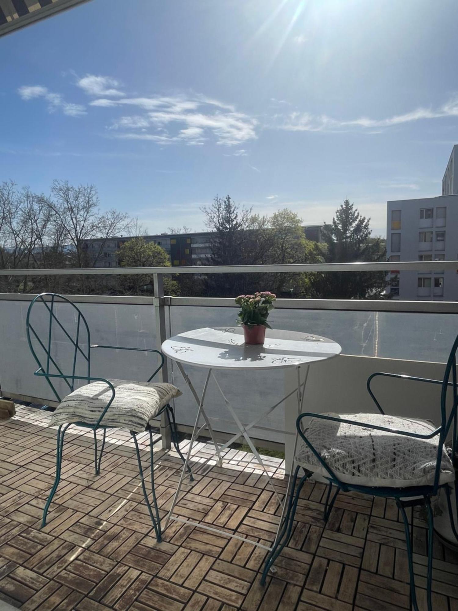 Bel Appartement Near Bale Mulhouse Airport Saint-Louis  Εξωτερικό φωτογραφία