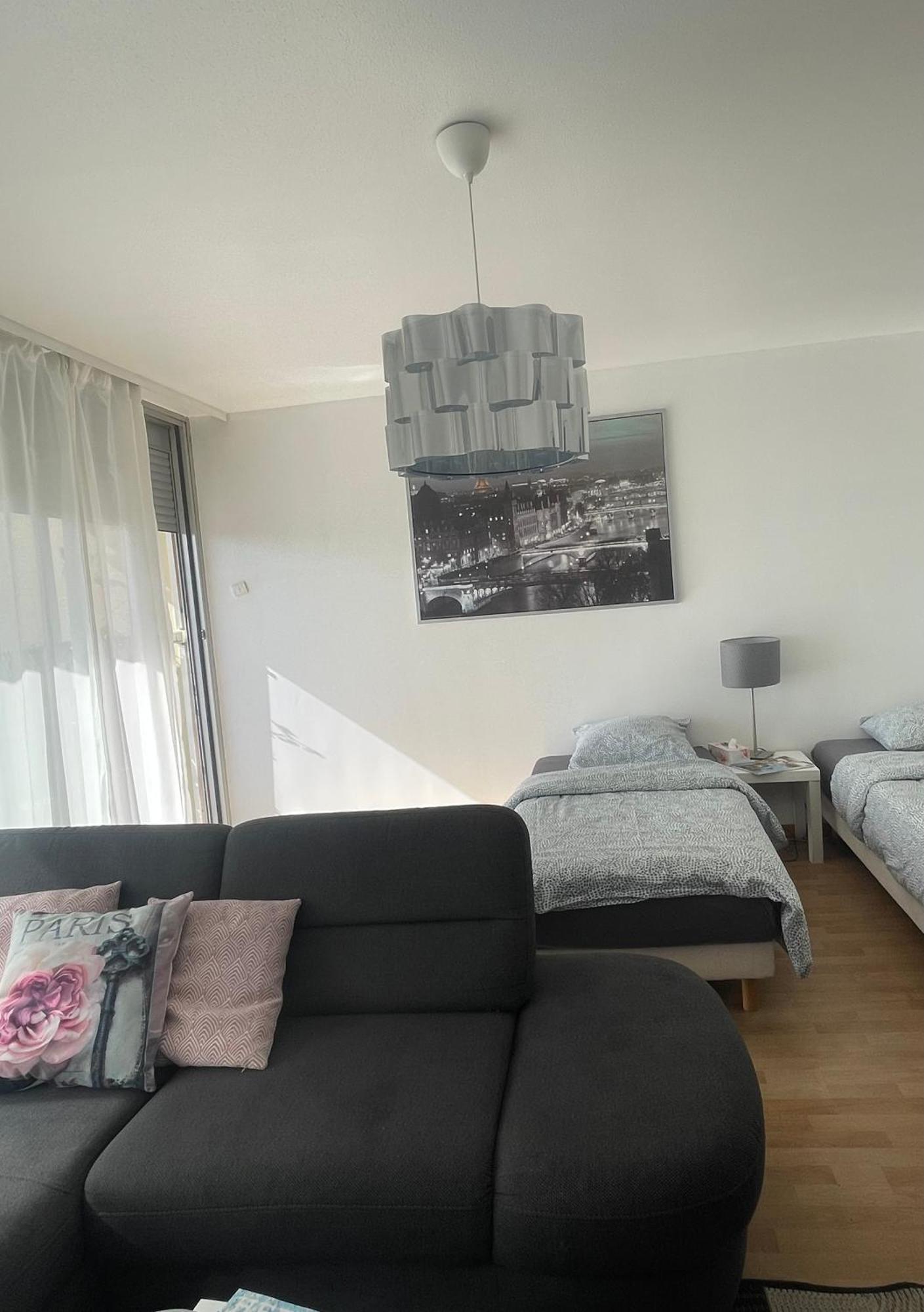 Bel Appartement Near Bale Mulhouse Airport Saint-Louis  Εξωτερικό φωτογραφία