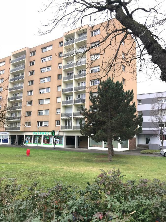 Bel Appartement Near Bale Mulhouse Airport Saint-Louis  Εξωτερικό φωτογραφία