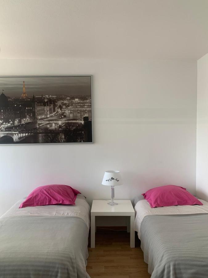 Bel Appartement Near Bale Mulhouse Airport Saint-Louis  Εξωτερικό φωτογραφία