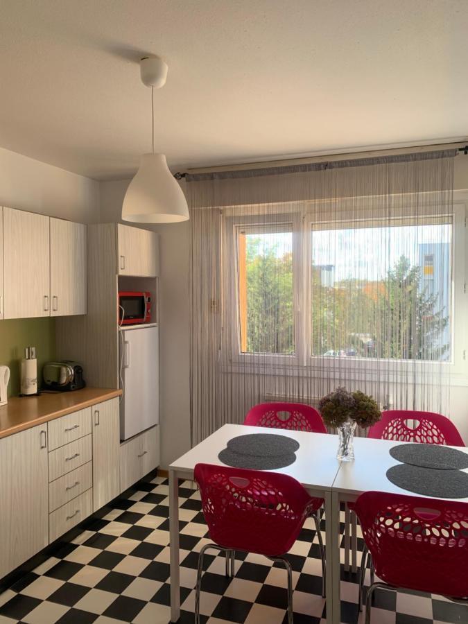 Bel Appartement Near Bale Mulhouse Airport Saint-Louis  Εξωτερικό φωτογραφία